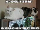 Прикрепленное изображение: 1664989967.jpg