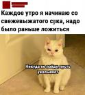 Прикрепленное изображение: Каждое утро начинаю.jpg