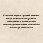 Прикрепленное изображение: Крысиный король.jpg