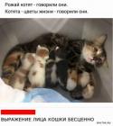 Прикрепленное изображение: 1696494562.jpg