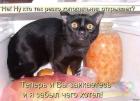 Прикрепленное изображение: 387749447_1013487133129866_9180397382646744682_n.jpg