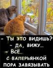Прикрепленное изображение: 395127229_1021613575650555_1152263345964580151_n.jpg