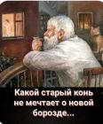 Прикрепленное изображение: 392746550_6760769970705274_5264570018101234693_n.jpg