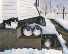 Прикрепленное изображение: cats--jakes-mousers-carol-wilson1.jpg