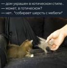 Прикрепленное изображение: Дом в котическом стиле.jpg