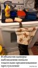 Прикрепленное изображение: Тщательно организованное преступление.jpg