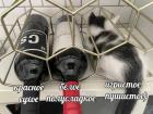 Прикрепленное изображение: Игристое пушистое.jpg