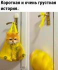Прикрепленное изображение: Короткая и грустная история.jpg