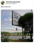 Прикрепленное изображение: Два жука.jpg