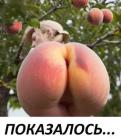 Прикрепленное изображение: 462273967_122177021192215698_6286539621566989876_n.jpg