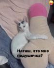 Прикрепленное изображение: 462677251_2291277321239756_4627287852168824773_n.jpg