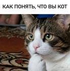 Прикрепленное изображение: 01.jpg