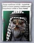 Прикрепленное изображение: a2b2b806b596.jpg