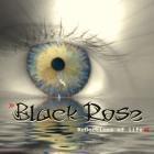 Прикрепленное изображение: BlackRose2011.jpg