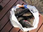 Прикрепленное изображение: x_9f0e9a64.jpg