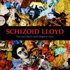 Прикрепленное изображение: Schizoid Lloyd.jpg