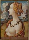 Прикрепленное изображение: Piero_di_Cosimo_-_Portrait_de_Simonetta_Vespucci.jpg