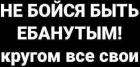 Прикрепленное изображение: Не бойся быть ебанутым! Кругом все свои!.jpg