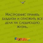 Прикрепленное изображение: Настроение принять буддизм и отложить все дела на следующую жизнь.jpg