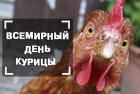 Прикрепленное изображение: Всемирный-день-курицы-World-Chicken-Day-012-768x576.jpg