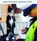 Прикрепленное изображение: 1635944509.jpg