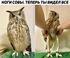 Прикрепленное изображение: 1668155500.jpg