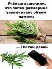 Прикрепленное изображение: 1669443626.jpg
