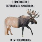 Прикрепленное изображение: IMG_20221124_100950_293.jpg