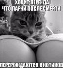 Прикрепленное изображение: 41.jpg
