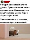 Прикрепленное изображение: Кошечка душила.jpg