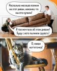 Прикрепленное изображение: Новая когтеточка.jpg