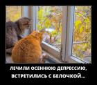 Прикрепленное изображение: Осенняя депрессия.jpg
