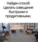 Прикрепленное изображение: Быстрые совещания.jpg