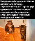 Прикрепленное изображение: Гармоничная пара.jpg