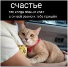 Прикрепленное изображение: 1700783660.jpg