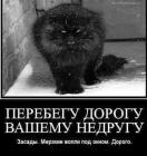 Прикрепленное изображение: 398296502_6832610320187905_1295564709470217907_n.jpg