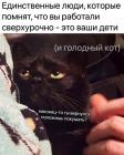 Прикрепленное изображение: Работали сверхурочно.jpg