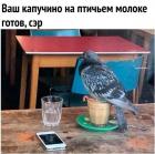 Прикрепленное изображение: Капучино на птичьем молоке.jpg