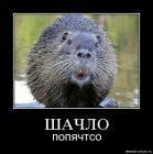Прикрепленное изображение: ______28afyzotud9p.jpg