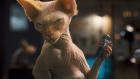 Прикрепленное изображение: cats_dogs_filmtoday_4.jpg