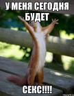 Прикрепленное изображение: IMG_1293.JPG