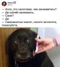 Прикрепленное изображение: Хуйнёй занимаетесь - заплатите налоги!.jpg