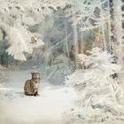 Прикрепленное изображение: Jane Crowther vbI7jk-pPrs.jpg