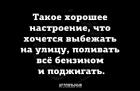 Прикрепленное изображение: Такое хорошее настроение, что хочется поливать всё бензином и поджигать.jpg