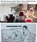 Прикрепленное изображение: IMG-20211207-WA0000.jpg