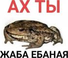 Прикрепленное изображение: Ах ты жаба ебаная!.jpg