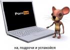 Прикрепленное изображение: Дрочка - Porn HUB - на, подрочи, и успокойся.jpg