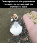 Прикрепленное изображение: 1671611988.jpg