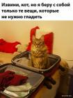 Прикрепленное изображение: 1669885015.jpg