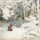 Прикрепленное изображение: Jane Crowther.jpg